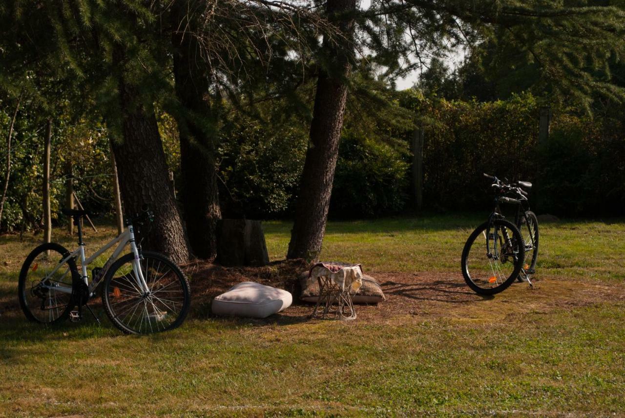 Otium B&B Cavallirio エクステリア 写真